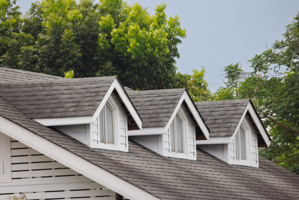 roof shingles