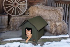 Outdoor Cat Houses