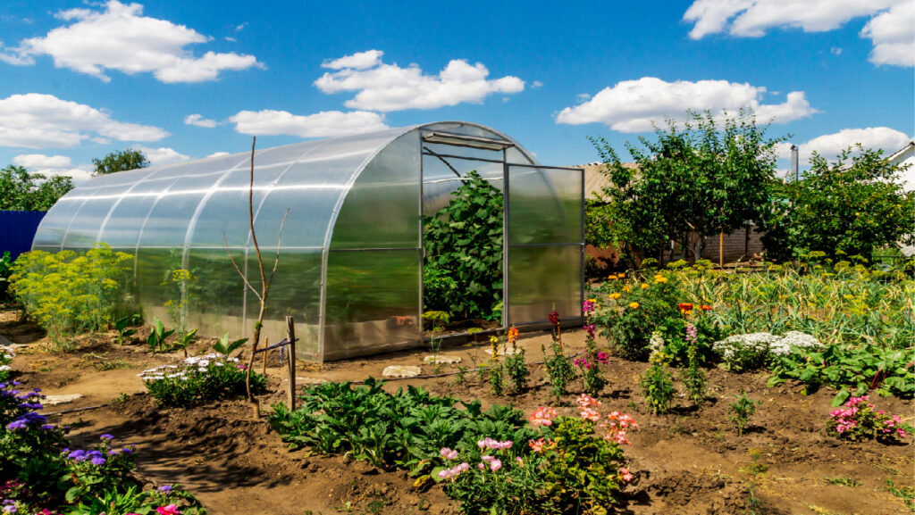 building a greenhouse